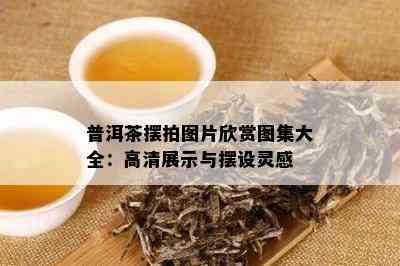 普洱茶摆拍图片欣赏图集大全：高清展示与摆设灵感