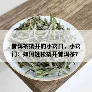 普洱茶撬开的小窍门，小窍门：如何轻松撬开普洱茶？