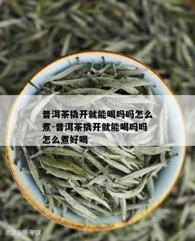 普洱茶撬开就能喝吗吗怎么煮-普洱茶撬开就能喝吗吗怎么煮好喝