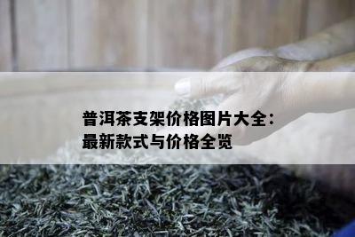 普洱茶支架价格图片大全：最新款式与价格全览