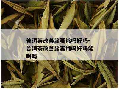 普洱茶改善脑萎缩吗好吗-普洱茶改善脑萎缩吗好吗能喝吗