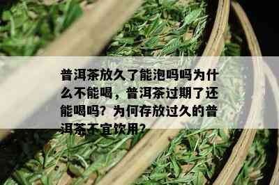 普洱茶放久了能泡吗吗为什么不能喝，普洱茶过期了还能喝吗？为何存放过久的普洱茶不宜饮用？