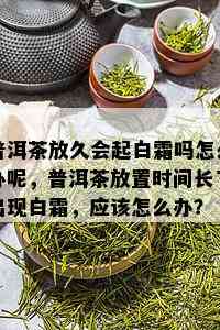 普洱茶放久会起白霜吗怎么办呢，普洱茶放置时间长了出现白霜，应该怎么办？