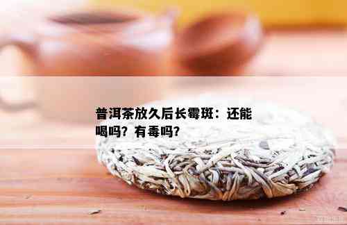 普洱茶放久后长霉斑：还能喝吗？有吗？