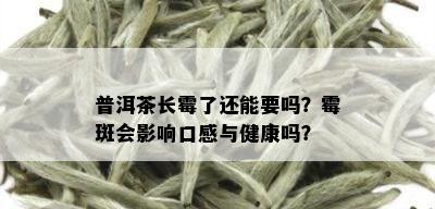 普洱茶长霉了还能要吗？霉斑会影响口感与健康吗？