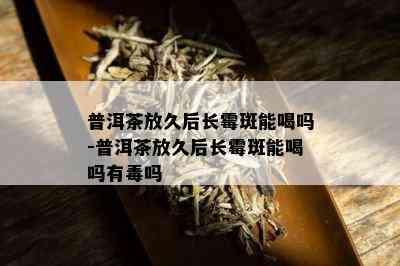 普洱茶放久后长霉斑能喝吗-普洱茶放久后长霉斑能喝吗有吗