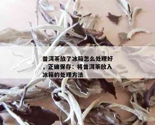 普洱茶放了冰箱怎么处理好，正确保存：将普洱茶放入冰箱的处理方法