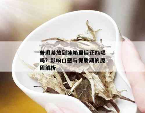 普洱茶放到冰箱里后还能喝吗？影响口感与保质期的原因解析