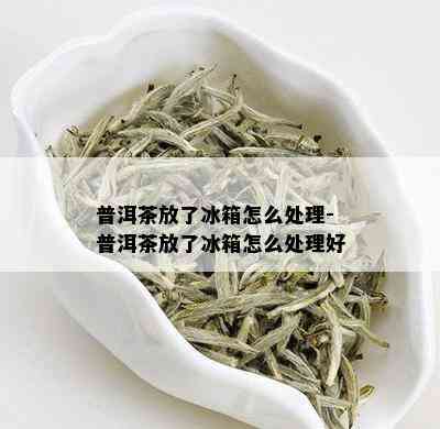 普洱茶放了冰箱怎么处理-普洱茶放了冰箱怎么处理好