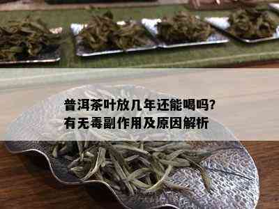 普洱茶叶放几年还能喝吗？有无副作用及原因解析