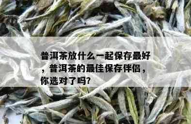 普洱茶放什么一起保存更好，普洱茶的更佳保存伴侣，你选对了吗？