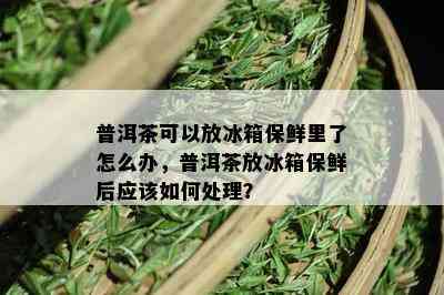 普洱茶可以放冰箱保鲜里了怎么办，普洱茶放冰箱保鲜后应该如何处理？