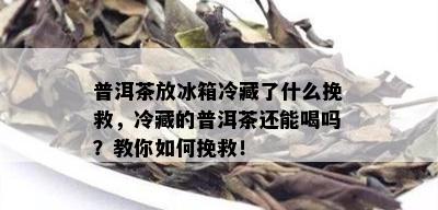 普洱茶放冰箱冷藏了什么挽救，冷藏的普洱茶还能喝吗？教你如何挽救！