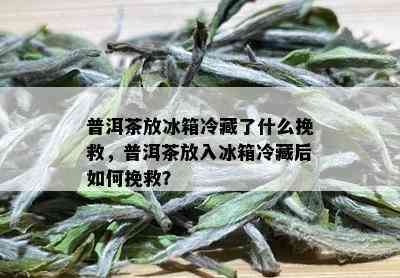 普洱茶放冰箱冷藏了什么挽救，普洱茶放入冰箱冷藏后如何挽救？