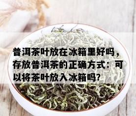 普洱茶叶放在冰箱里好吗，存放普洱茶的正确方式：可以将茶叶放入冰箱吗？