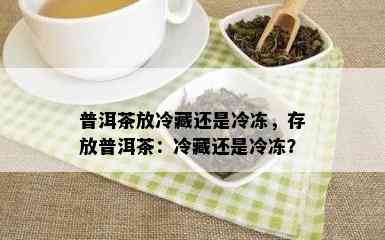 普洱茶放冷藏还是冷冻，存放普洱茶：冷藏还是冷冻？