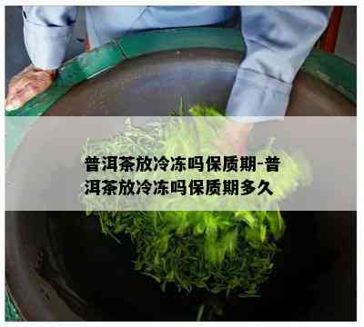 普洱茶放冷冻吗保质期-普洱茶放冷冻吗保质期多久