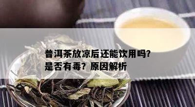 普洱茶放凉后还能饮用吗？是否有？原因解析