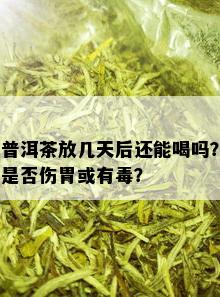 普洱茶放几天后还能喝吗？是否伤胃或有？