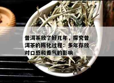 普洱茶放了好几年，探究普洱茶的陈化过程：多年存放对口感和香气的影响