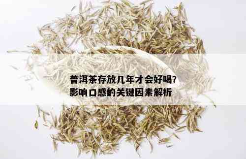 普洱茶存放几年才会好喝？影响口感的关键因素解析