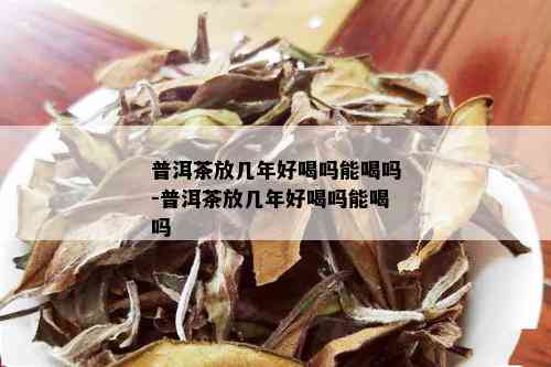 普洱茶放几年好喝吗能喝吗-普洱茶放几年好喝吗能喝吗