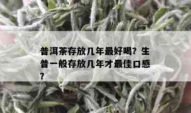 普洱茶存放几年更好喝？生普一般存放几年才更佳口感？