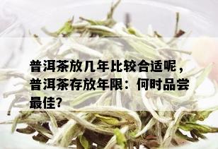 普洱茶放几年比较合适呢，普洱茶存放年限：何时品尝更佳？