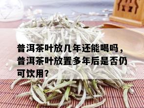 普洱茶叶放几年还能喝吗，普洱茶叶放置多年后是否仍可饮用？