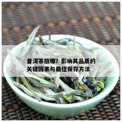 普洱茶放哪？影响其品质的关键因素与更佳保存方法