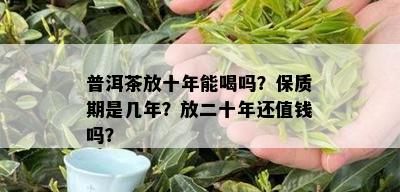 普洱茶放十年能喝吗？保质期是几年？放二十年还值钱吗？