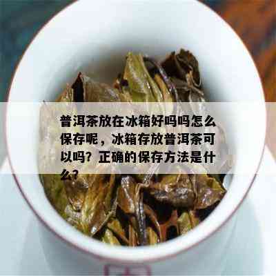 普洱茶放在冰箱好吗吗怎么保存呢，冰箱存放普洱茶可以吗？正确的保存方法是什么？