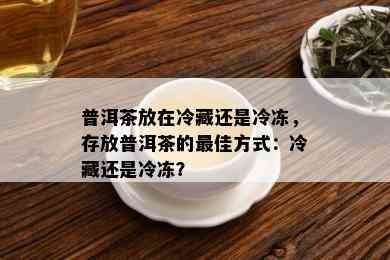 普洱茶放在冷藏还是冷冻，存放普洱茶的更佳方式：冷藏还是冷冻？