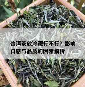 普洱茶放冷藏行不行？影响口感与品质的因素解析