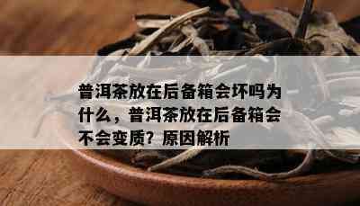 普洱茶放在后备箱会坏吗为什么，普洱茶放在后备箱会不会变质？原因解析