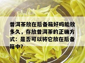 普洱茶放在后备箱好吗能放多久，存放普洱茶的正确方式：是否可以将它放在后备箱中？