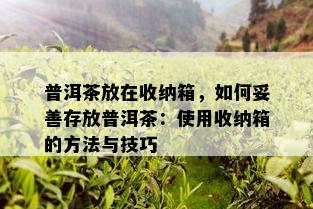 普洱茶放在收纳箱，如何妥善存放普洱茶：使用收纳箱的方法与技巧