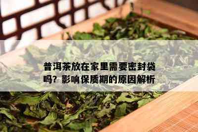 普洱茶放在家里需要密封袋吗？影响保质期的原因解析