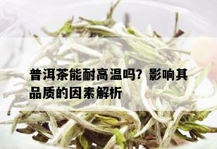 普洱茶能耐高温吗？影响其品质的因素解析