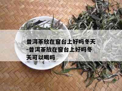 普洱茶放在窗台上好吗冬天-普洱茶放在窗台上好吗冬天可以喝吗