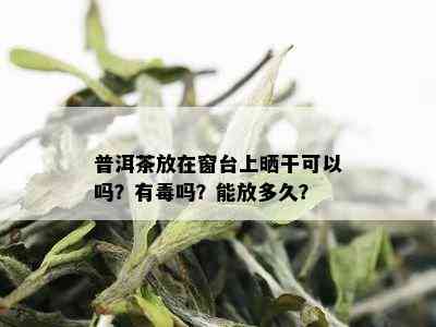 普洱茶放在窗台上晒干可以吗？有吗？能放多久？