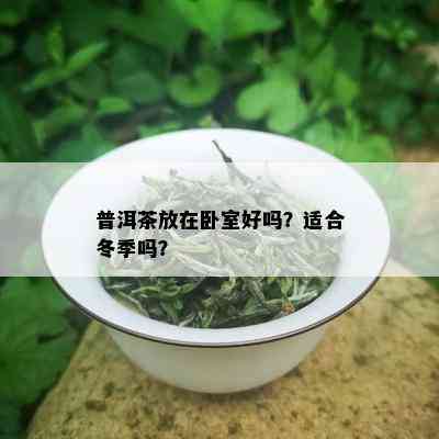 普洱茶放在卧室好吗？适合冬季吗？