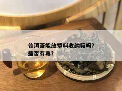 普洱茶能放塑料收纳箱吗？是否有？