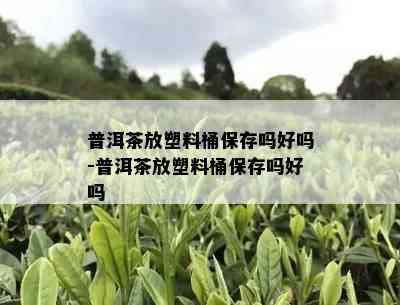 普洱茶放塑料桶保存吗好吗-普洱茶放塑料桶保存吗好吗