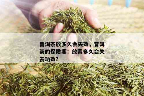 普洱茶放多久会失效，普洱茶的保质期：放置多久会失去功效？