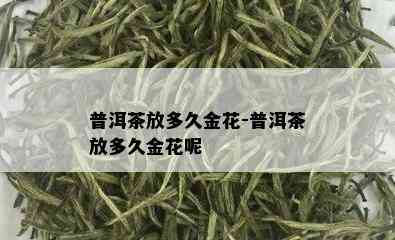 普洱茶放多久金花-普洱茶放多久金花呢