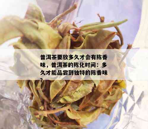 普洱茶要放多久才会有陈香味，普洱茶的陈化时间：多久才能品尝到独特的陈香味？