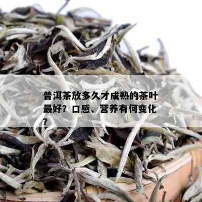 普洱茶放多久才成熟的茶叶更好？口感、营养有何变化？