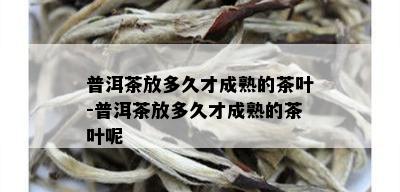 普洱茶放多久才成熟的茶叶-普洱茶放多久才成熟的茶叶呢