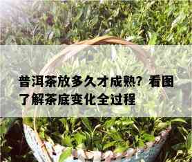 普洱茶放多久才成熟？看图了解茶底变化全过程